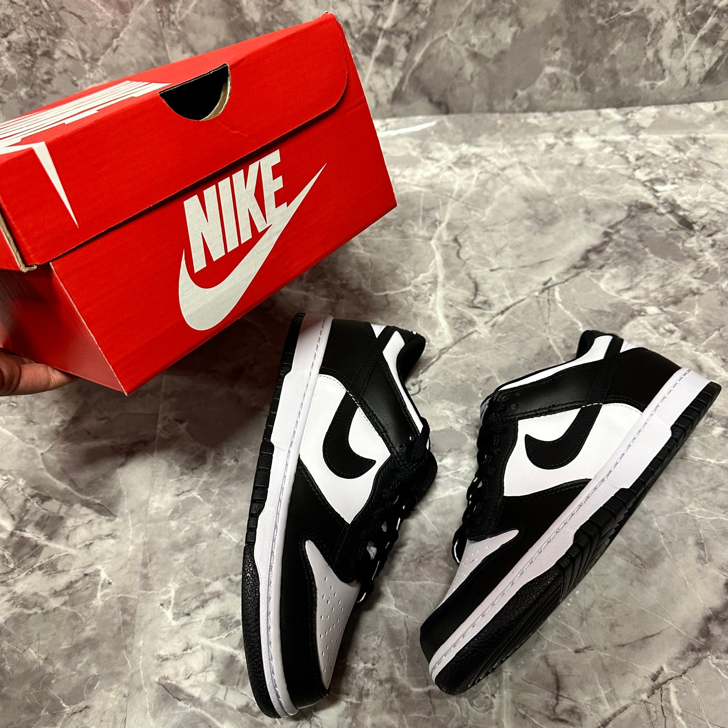 Zapatillas Nike Dunk Low PANDA